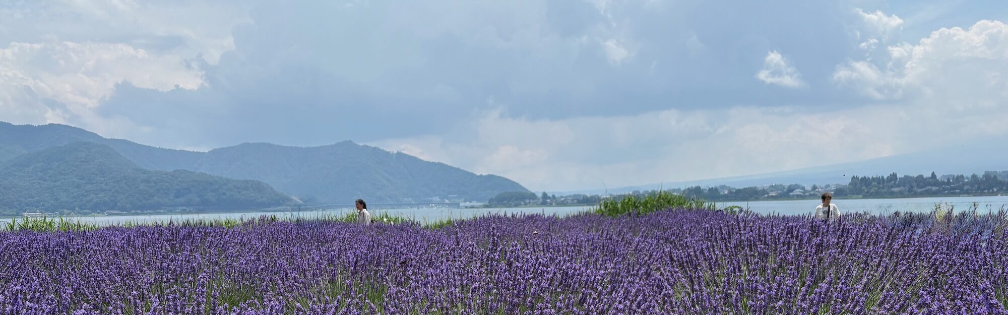 Discover Mt. Fuji in Summer: Sights, Treats & Unexpected Delights